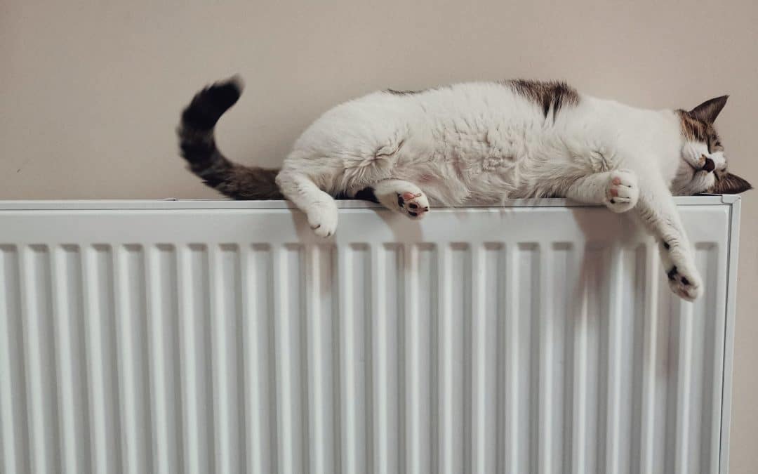 Les gestes simples pour faire des économies d&rsquo;énergie dans son logement