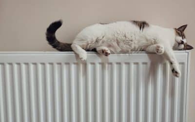 Les gestes simples pour faire des économies d&rsquo;énergie dans son logement