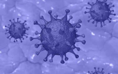 Coronavirus : Fermeture exceptionnelle