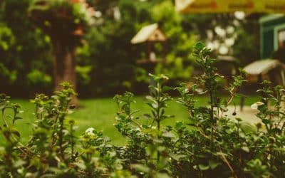 Quels travaux faire à la maison pendant l&rsquo;été ?